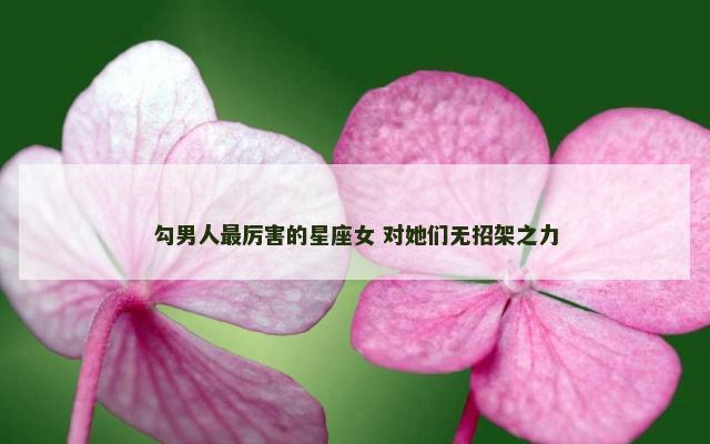 勾男人最厉害的星座女 对她们无招架之力