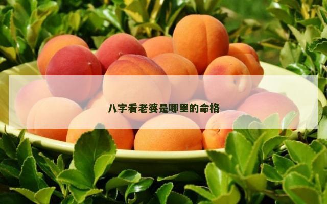 八字看老婆是哪里的命格