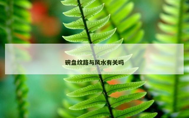 碗盘纹路与风水有关吗