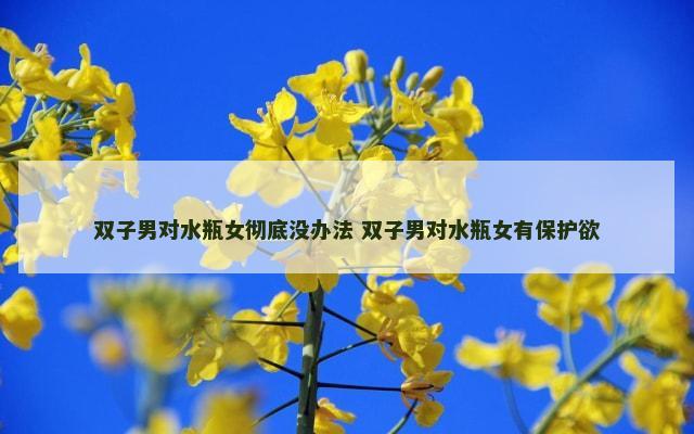 双子男对水瓶女彻底没办法 双子男对水瓶女有保护欲