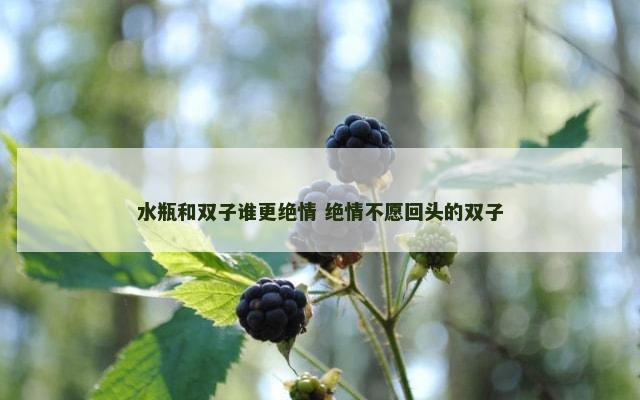 水瓶和双子谁更绝情 绝情不愿回头的双子