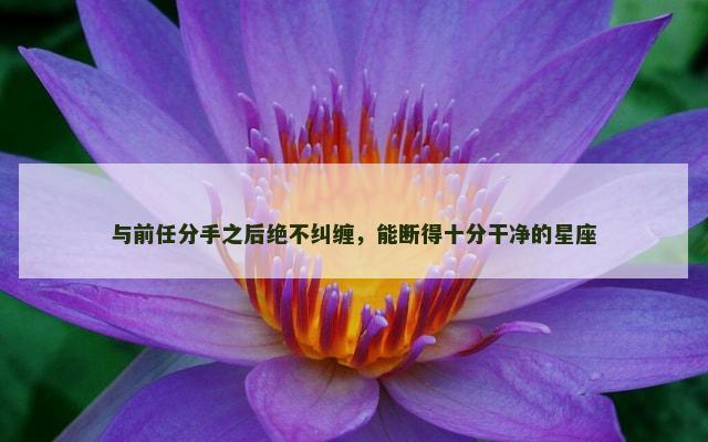 与前任分手之后绝不纠缠，能断得十分干净的星座