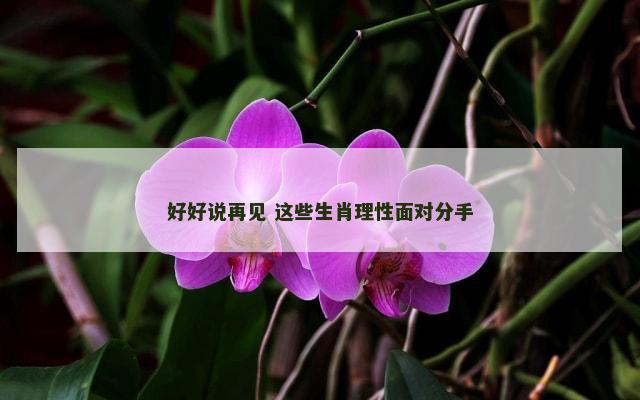 好好说再见 这些生肖理性面对分手