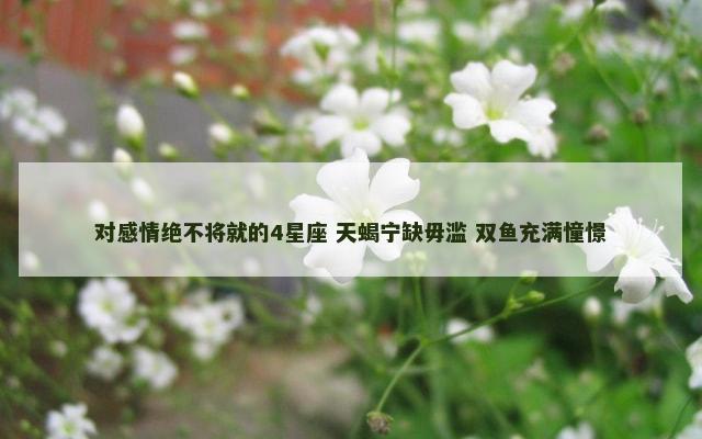 对感情绝不将就的4星座 天蝎宁缺毋滥 双鱼充满憧憬