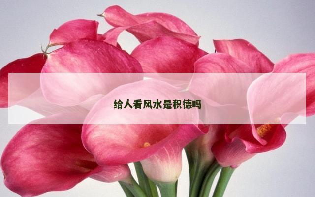 给人看风水是积德吗