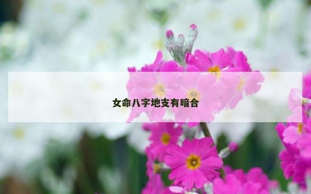女命八字地支有暗合