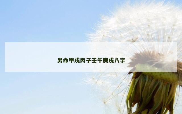 男命甲戌丙子壬午庚戌八字