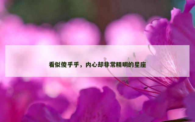 看似傻乎乎，内心却非常精明的星座