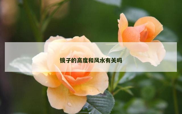 镜子的高度和风水有关吗