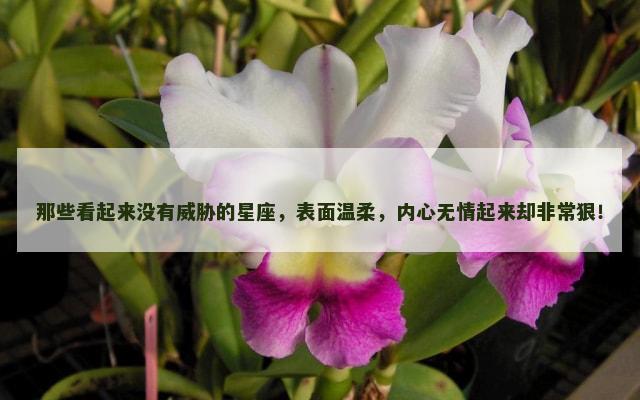 那些看起来没有威胁的星座，表面温柔，内心无情起来却非常狠！