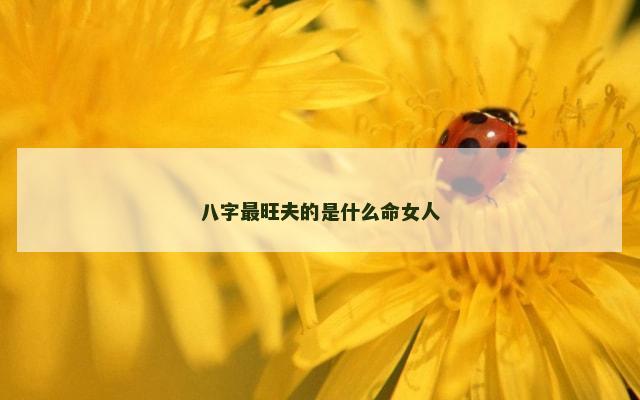 八字最旺夫的是什么命女人