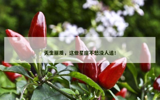 天生丽质，这些星座不愁没人追！