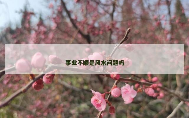 事业不顺是风水问题吗