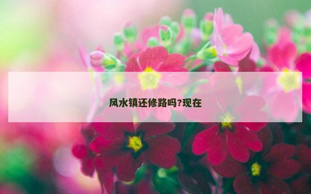 风水镇还修路吗?现在