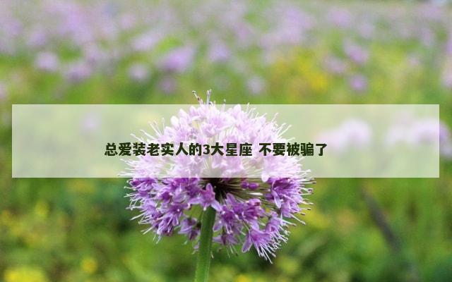 总爱装老实人的3大星座 不要被骗了 　　