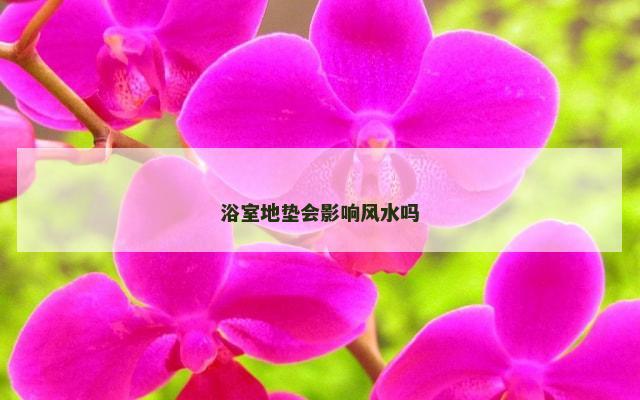 浴室地垫会影响风水吗
