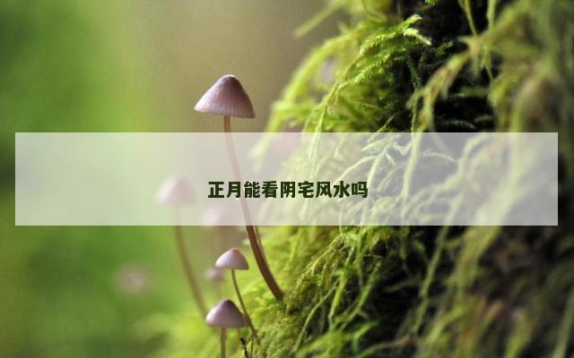 正月能看阴宅风水吗