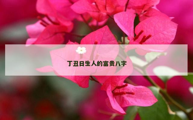 丁丑日生人的富贵八字