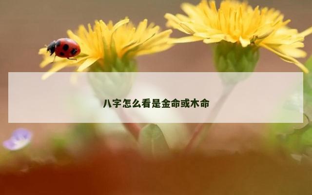 八字怎么看是金命或木命
