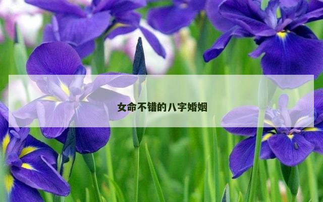 女命不错的八字婚姻