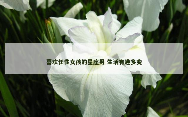 喜欢任性女孩的星座男 生活有趣多变