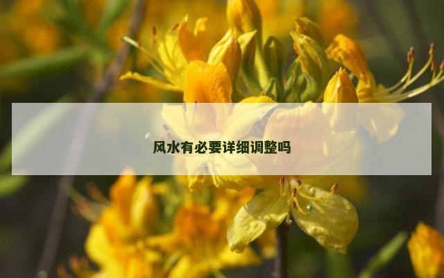 风水有必要详细调整吗
