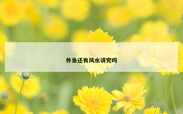 养鱼还有风水讲究吗