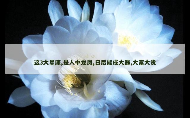 这3大星座,是人中龙凤,日后能成大器,大富大贵