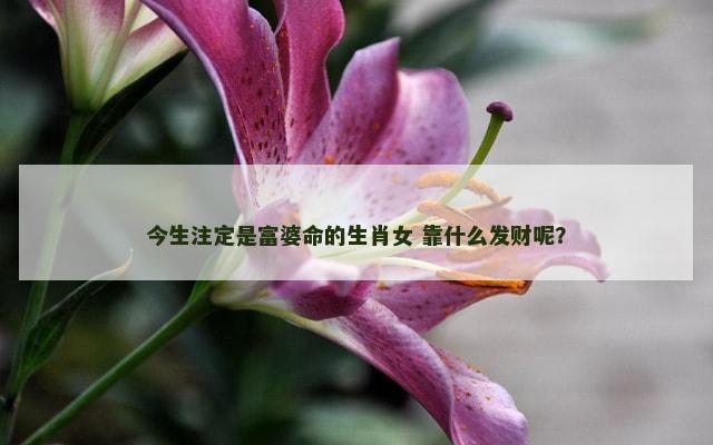 今生注定是富婆命的生肖女 靠什么发财呢？