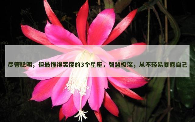 尽管聪明，但最懂得装傻的3个星座，智慧极深，从不轻易暴露自己