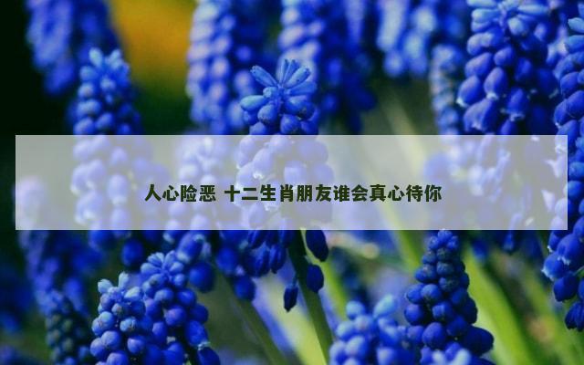 人心险恶 十二生肖朋友谁会真心待你