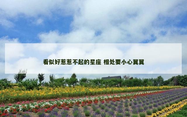 看似好惹惹不起的星座 相处要小心翼翼