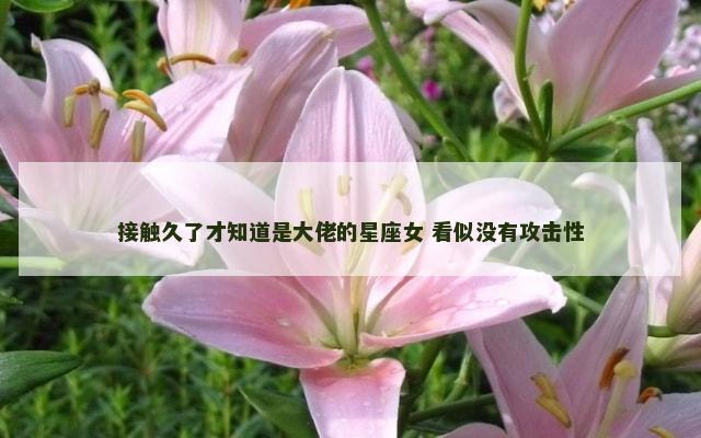 接触久了才知道是大佬的星座女 看似没有攻击性
