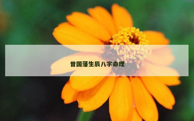 曾国藩生辰八字命理