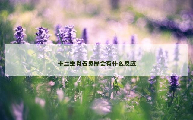 十二生肖去鬼屋会有什么反应