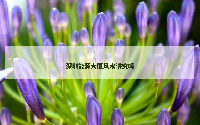 深圳能源大厦风水讲究吗