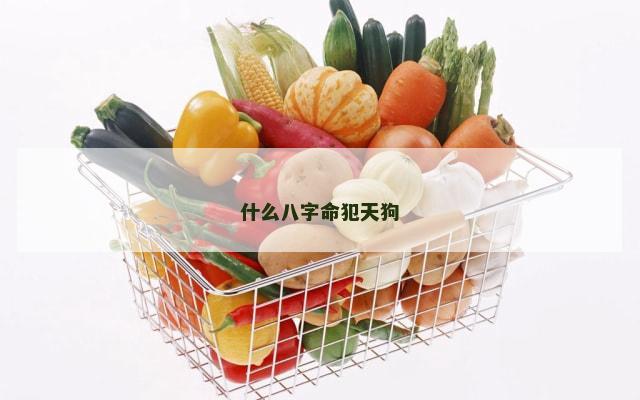 什么八字命犯天狗