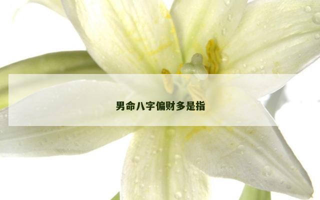 男命八字偏财多是指