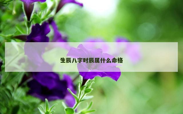 生辰八字时辰属什么命格