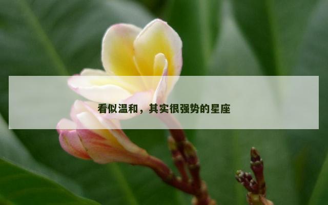 看似温和，其实很强势的星座