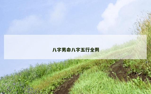 八字男命八字五行全阴
