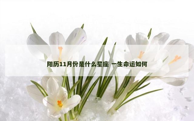 阳历11月份是什么星座 一生命运如何
