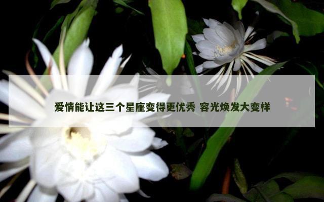 爱情能让这三个星座变得更优秀 容光焕发大变样