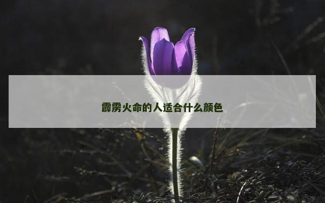 霹雳火命的人适合什么颜色