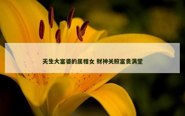 天生大富婆的属相女 财神关照富贵满堂