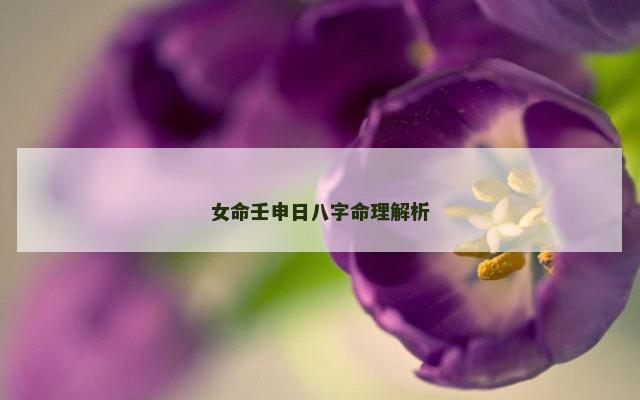 女命壬申日八字命理解析