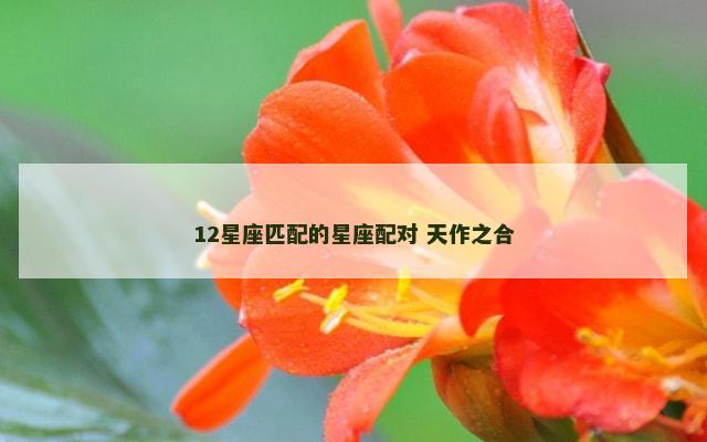12星座匹配的星座配对 天作之合