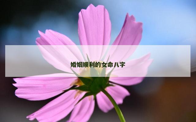 婚姻顺利的女命八字