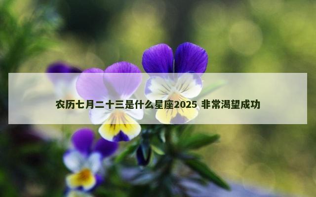 农历七月二十三是什么星座2025 非常渴望成功
