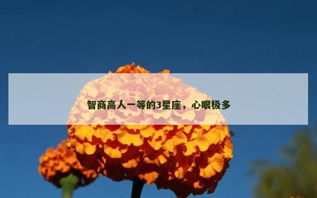 智商高人一等的3星座，心眼极多